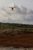 Yuneec Typhoon H+ Hexacopter