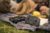 Yuneec Mantis Q - Picknick mit Drohne