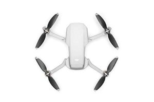 DJI Mavic Mini