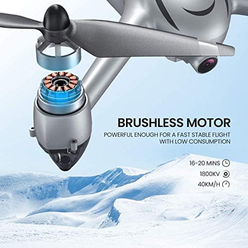 Potensic D80 - Brushless Motoren